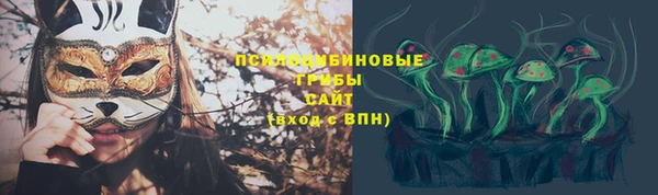 таблы Михайлов