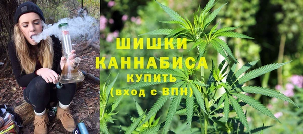 крисы Билибино