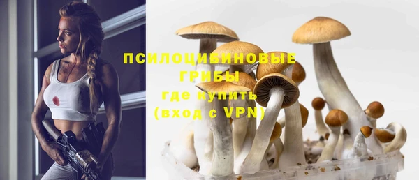 таблы Михайлов