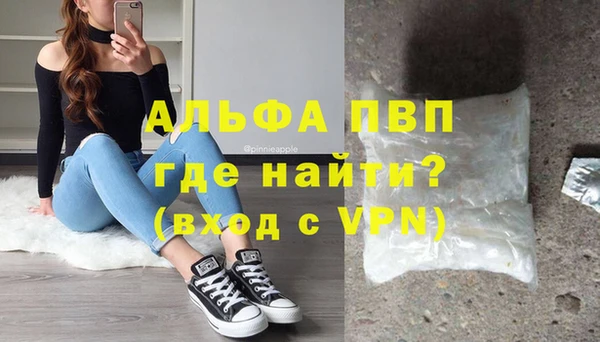 крисы Билибино