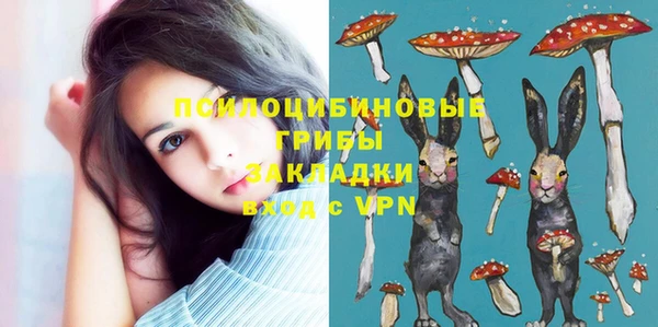 таблы Михайлов