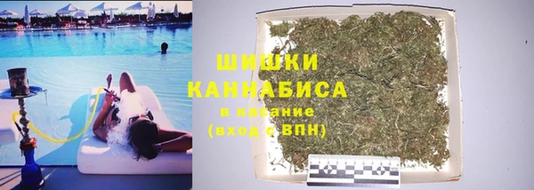 молекула духа Бикин